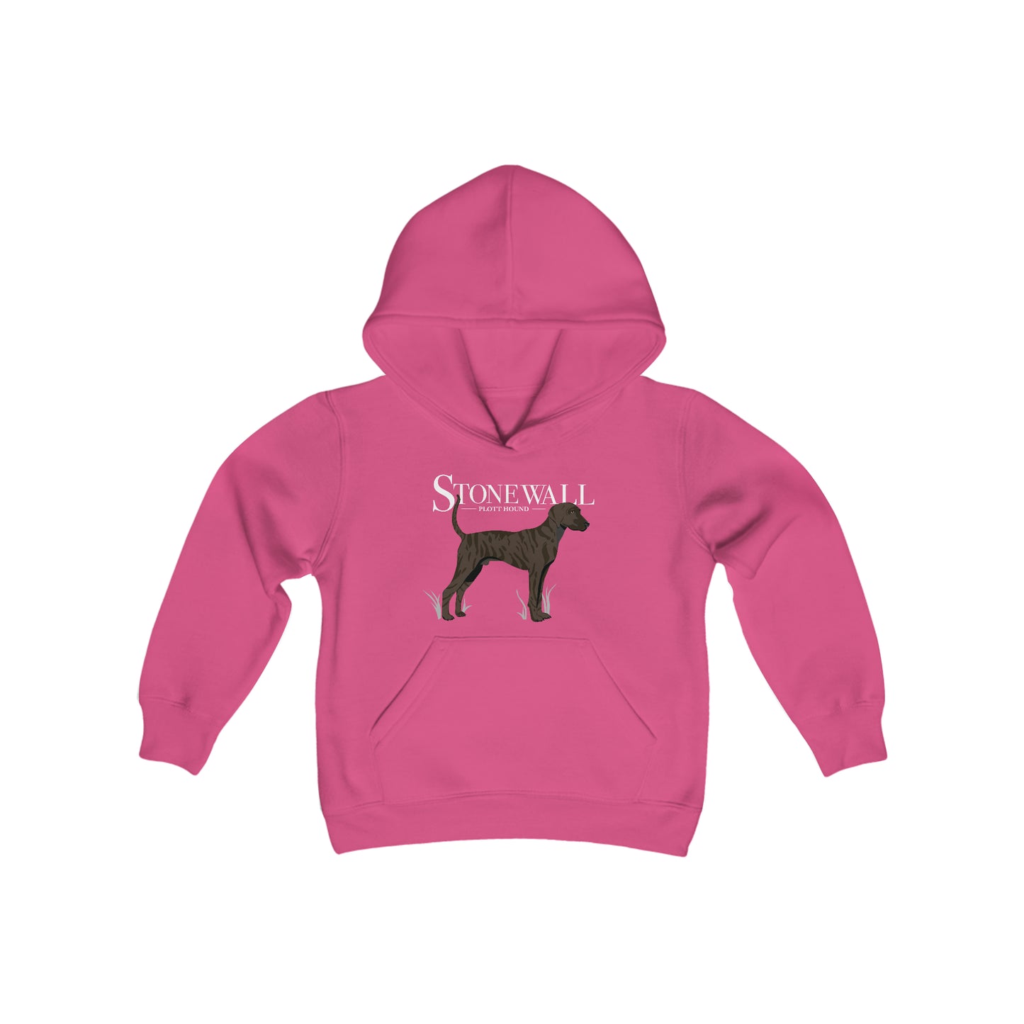 Youth-Plott Hound Hoodie