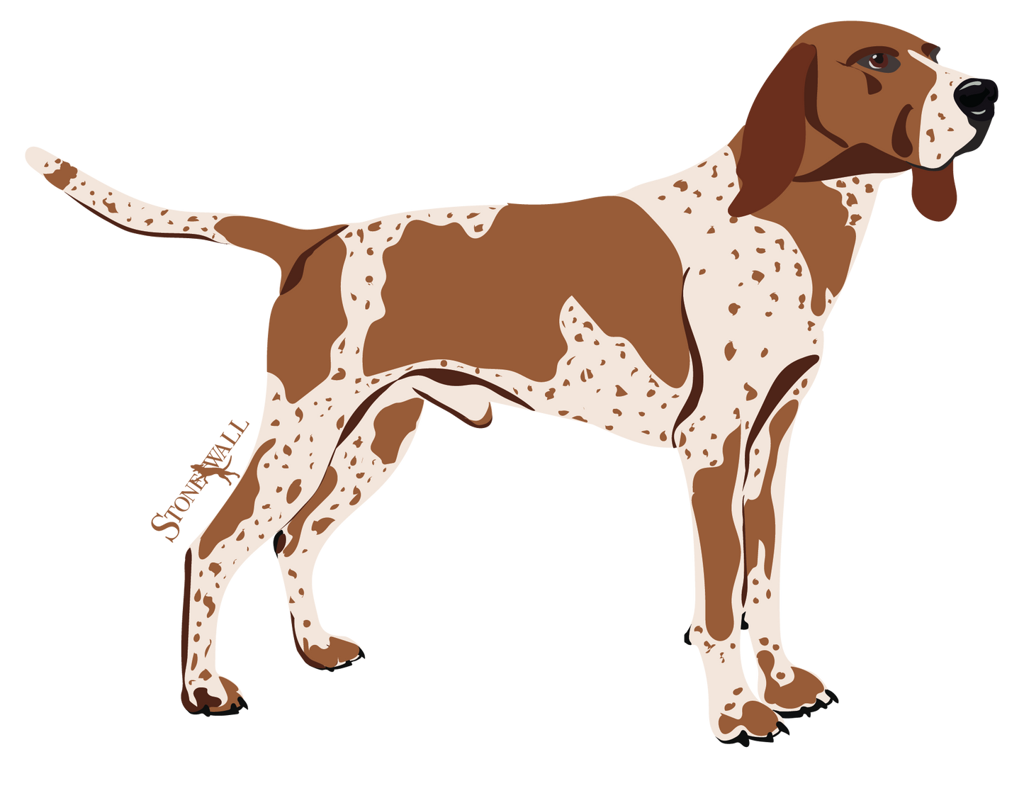 English Coonhound Decal