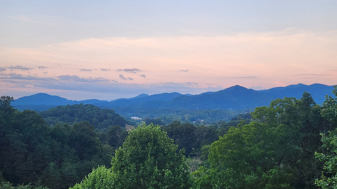 Panthers in Appalachia