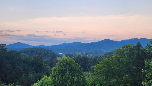Panthers in Appalachia