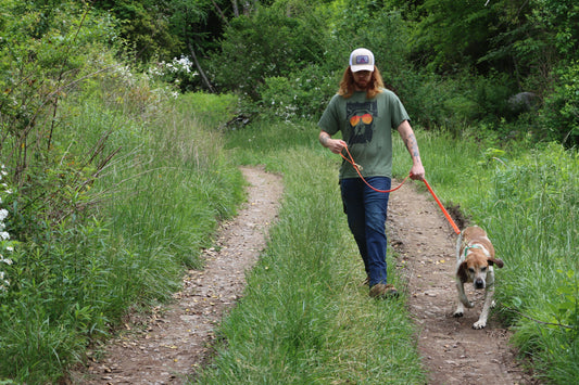 Why Hunt with Hounds? Coonhound Care, History, and Appalachian Traditions