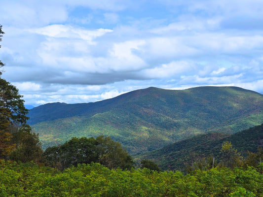 Our Story: The Heart of Stonewall828